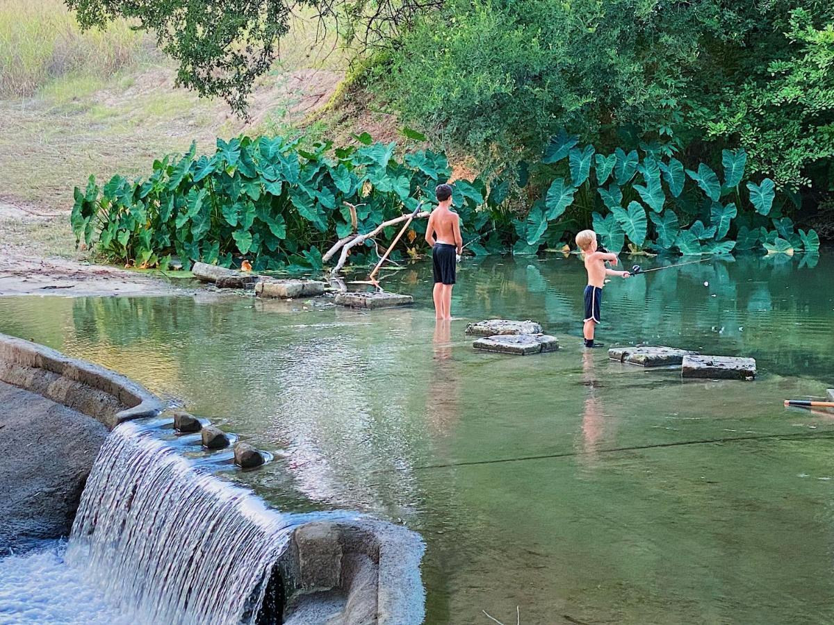 Son'S Rio Cibolo Birdhouse Cabin #7 Water Sports, Hot Tubs, Volleyball, Game Room, And More! Marion Buitenkant foto