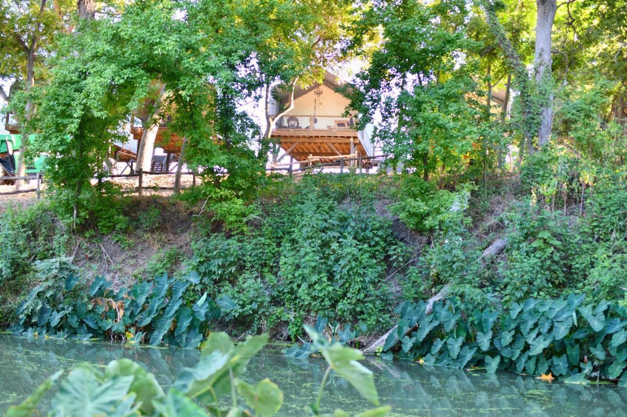 Son'S Rio Cibolo Birdhouse Cabin #7 Water Sports, Hot Tubs, Volleyball, Game Room, And More! Marion Buitenkant foto